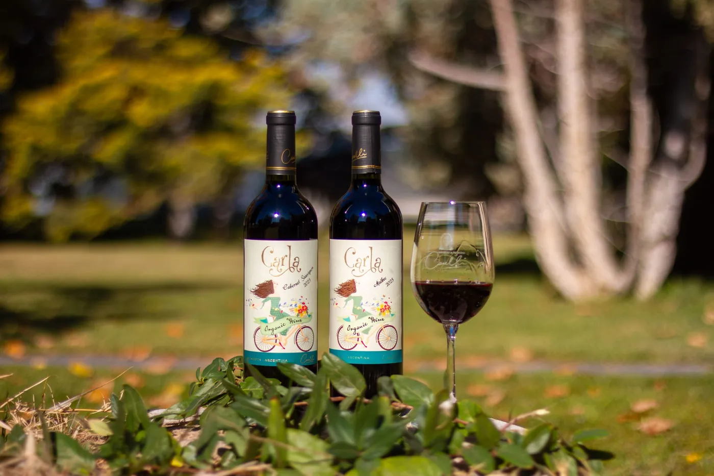 Carla Malbec y Cabernet en el parque