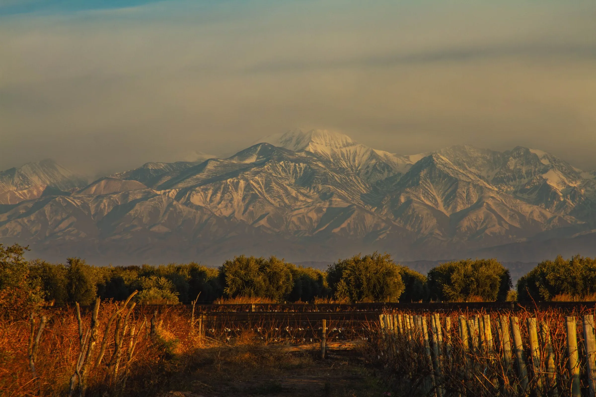 La Cordillera de los Andes vista desde la finca de Bodega Carelli