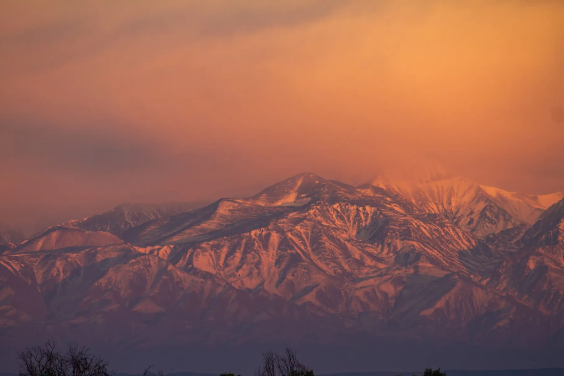 Viñedo y cordillera al atardecer