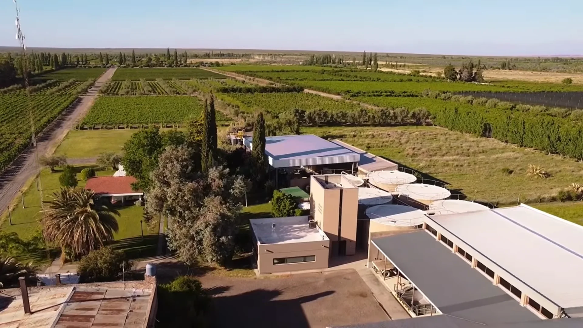 Vista aérea de Bodega Carelli, sus viñedos y la cordillera